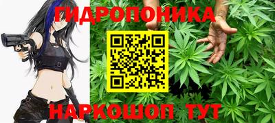 метадон Аша