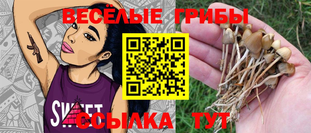 Псилоцибиновые грибы MAGIC MUSHROOMS Боровичи